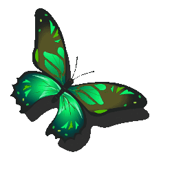 Dailymotion